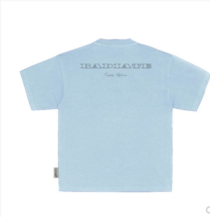 Light Blue Star Light White Pigeon Print T-Shirt For Men MuddyStock
