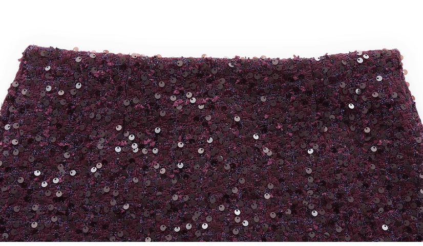 A-line Small Shiny Skirt For Women All Products