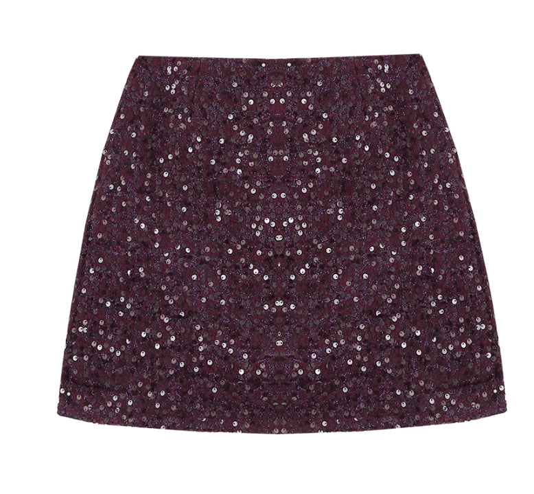 A-line Small Shiny Skirt For Women All Products